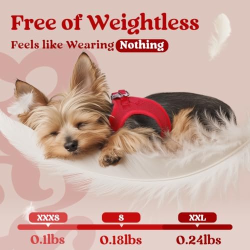 rabbitgoo Step-in Small Dog Harness, Puppy Vest for Small Sized Pet - Image 5