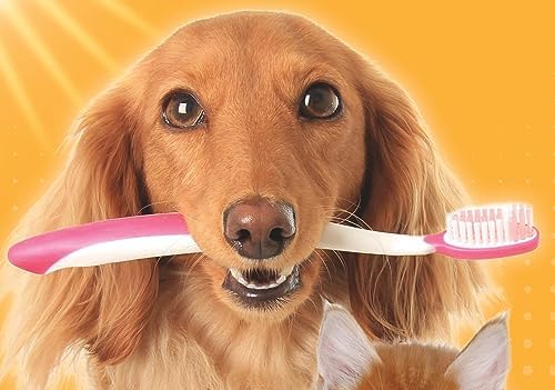 Arm & Hammer Tartar Control Dog Dental Kit, Beef Flavor, 3-Piece - Image 6