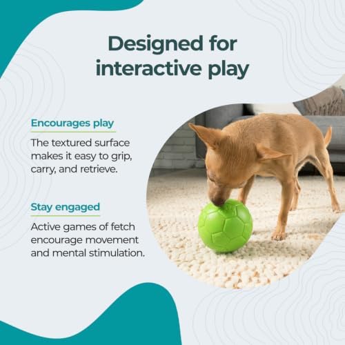 Jolly Pets Medium Soccer Ball Floating-Bouncing Dog Toy, 6 inch Diameter, Orange (SB06 OR) - Image 3