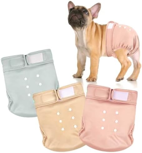 wegreeco Frenchie Dog Diapers Female No Tail Hole, Washable Pet French Puppy Bulldog Diapers Female for Period Heat, Reusable Doggy Doggie Dog Diapers（Large） by wegreeco
