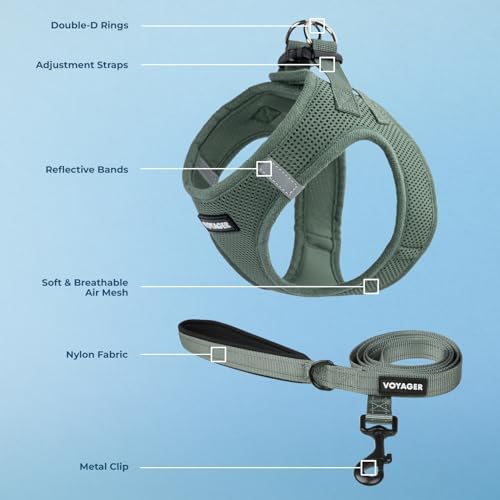 Best Pet Supplies Voyager Step-in Air All Weather Mesh Harness and Reflective Dog 5ft Leash Combo with Neoprene Handle, for Small, Medium and Large Breed Puppies - Moss Green, Small - Image 2