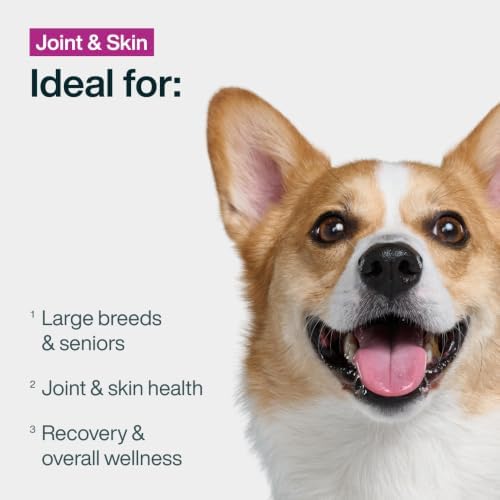 JustFoodForDogs Pantry Fresh Wet Dog Food, Complete Meal or Dog Food Topper, for Joint Health, Skin Health, Allergies, Joint & Skin Support, Pork & Quinoa - 12.5 oz (Pack of 12) - Image 3