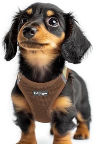 rabbitgoo Step-in Small Dog Harness, Puppy Vest for Small Sized Pet by rabbitgoo