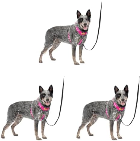 PetSafe Easy Walk Comfort No Pull Dog Harness, Pink, Medium (Pack of 3) by PetSafe