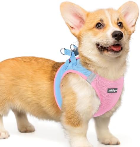 rabbitgoo Step-in Small Dog Harness, Puppy Vest for Small Medium Sized Pet by rabbitgoo
