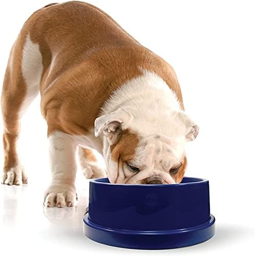 K&H Dog Water Bowl, Coolin' Pet Bowl, Ice Cold Pet Dish, 96 Ounces by KHPetProducts