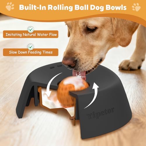 Yipetor Dog Lick Bowl, Rolled Ball-in Slow Feeder Enrichment Puzzle Toys - Image 2