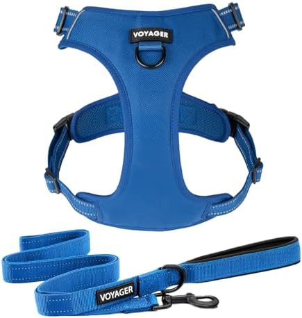 Voyager Dog Harness Dual Leash Attachment No-Pull Control Adjustable Soft but Strong Pet Harness for Medium and Large Dogs with 3M Reflective Technology, Leash Set Royal Nylon, XS (Chest: 13-16") by BestPetSuppliesLLC