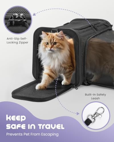 MIDOG Soft Cat Carrier Airline Approved, Expandable for Cats Up to 15lbs - Image 4