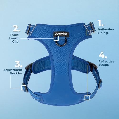 Voyager Dog Harness Dual Leash Attachment No-Pull Control Adjustable Soft but Strong Pet Harness for Medium and Large Dogs with 3M Reflective Technology, Leash Set Royal Nylon, XL (Chest: 28-37") - Image 5