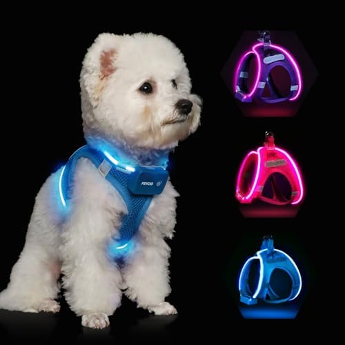 Light Up Dog Harness, Rechargeable LED Dog Harness for Small Medium Dogs by FEYCIG