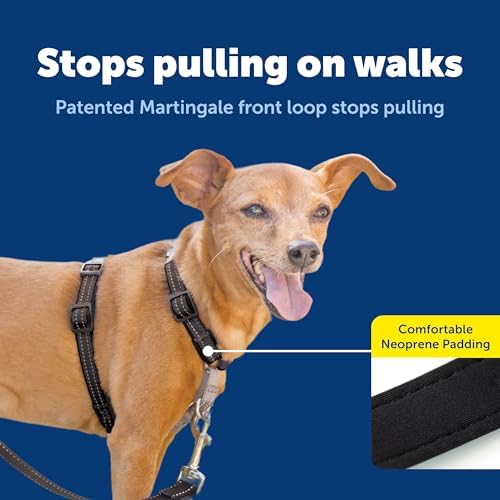 PetSafe 3 in 1 No-Pull Dog Harness - Walk, Train or Travel - Helps Prevent Pets from Pulling on Walks - Seatbelt Loop Doubles as Quick Access Handle - Reflective Accents - Extra Small, Black - Image 4