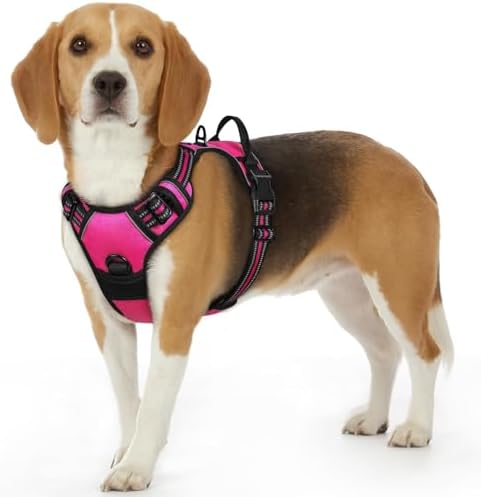 Eagloo Dog Harness for Small Dogs, No Pull Pet Vest with 2 Leash Clips by GoExplorewithEagloo
