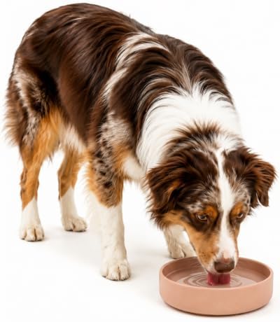 The Perfect Dish - Silicone Dog Bowl for Food & Water, 7.5"x2.25"- Blush by ShouldWeGo