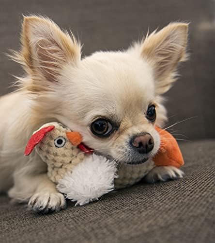goDog Checkers Just For Me Fat Rooster Squeaky Plush Dog Toy, Chew Guard Technology - White, Mini - Image 5