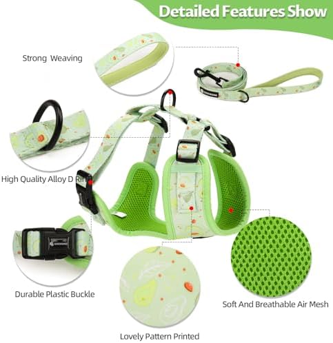 Dog Harness and Leash Set, Adjustable Dog Harness, Dog Leash, No Pull No Choke Puppy Harnesses for Walking Training for Small Medium Pet - Image 4
