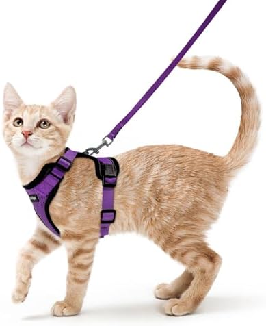 rabbitgoo Cat Harness and Leash Set, Escape Proof Vest, Purple by rabbitgoo