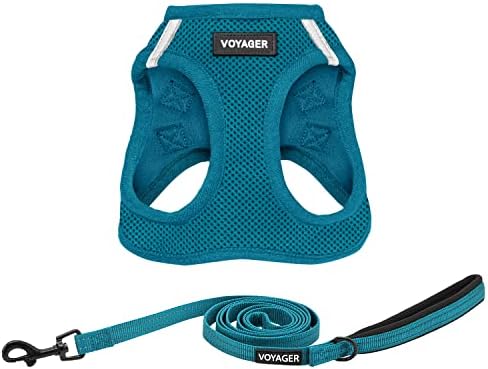 Best Pet Supplies Voyager Step-in Air All Weather Mesh Harness and Reflective Dog 5ft Leash Combo with Neoprene Handle, for Small, Medium and Large Breed Puppies - Turquoise, Small by BestPetSuppliesLLC