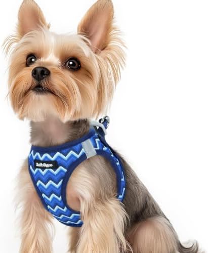 rabbitgoo Step-in Small Dog Harness, Puppy Vest for Small Sized Pet by rabbitgoo