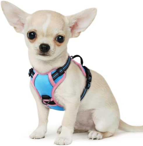 Eagloo Dog Harness for Small Dogs, No Pull Pet Vest with 2 Leash Clips by GoExplorewithEagloo