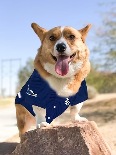 Official MLB Tampa Bay Rays Pet Jersey for Dogs & Cats, Size Small - Stylish Baseball Jersey for Your Furry Fan- Show Off Team Spirit with The Perfect Fan Apparel Gear for Pet, Dog & Cat - Image 5