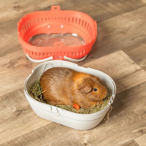 TRIXIE Pico Transport Crate, Great On-The Go Travel with Small Pets, Medium - Image 7