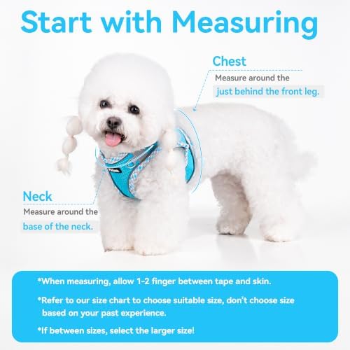 Petank Step in Dog Harness No Pull and Leash for Small Medium Dogs Cats. - Image 2