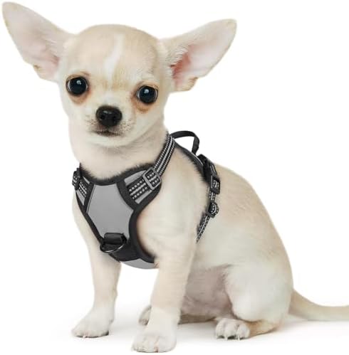 Eagloo Dog Harness for Small Dogs, No Pull Pet Vest with 2 Leash Clips by GoExplorewithEagloo