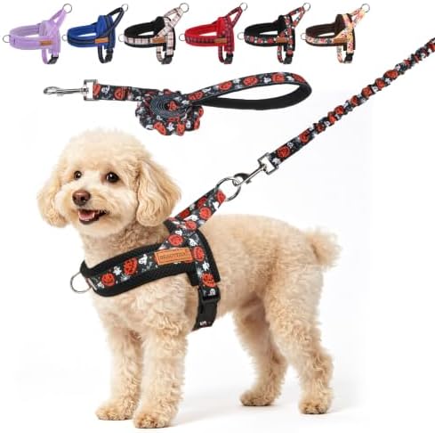 BEAUTYZOO Dog Harness Medium Sized and Leash Set,No Pull Halloween Pet Vest by BEAUTYZOO