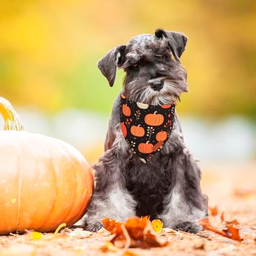 PTDECOR Black Fall Dog Bandana, Pumpkin Mushroom Design Dog Scarf, Small - Image 3