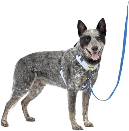 PetSafe Easy Walk Comfort No Pull Dog Harness, Blue, Medium by PetSafe