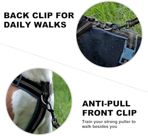 Plutus Pet No Pull Dog Harness, Adjustable Nylon Harness with Soft Padding - Image 4