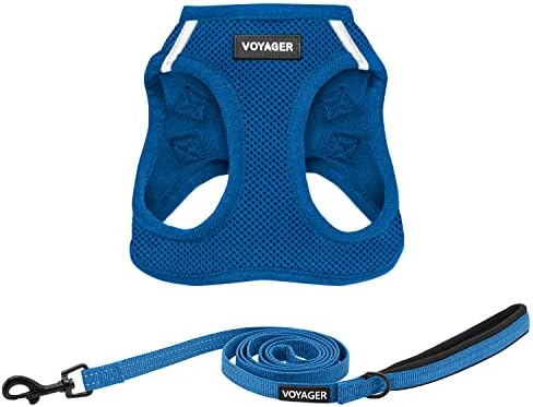 Best Pet Supplies Voyager Step-in Air All Weather Mesh Harness and Reflective Dog 5ft Leash Combo with Neoprene Handle, for Small, Medium and Large Breed Puppies - Royal Blue, Small by BestPetSuppliesLLC