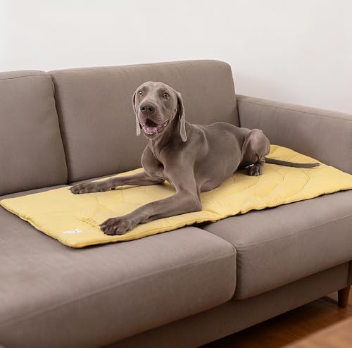 Lightly Padded Roll-Up Travel Dog Mat Settle & Place Training - Image 3