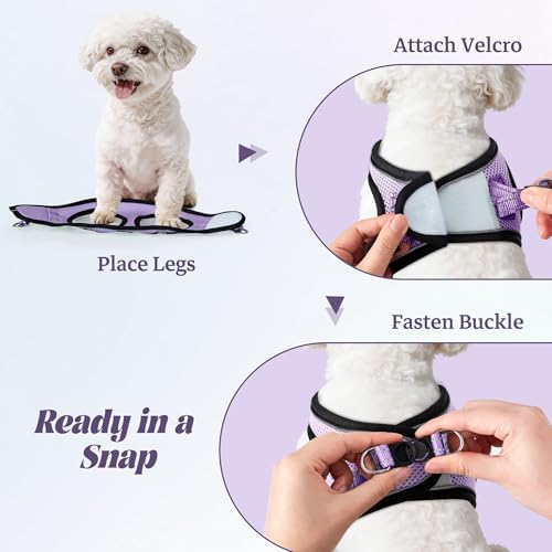 No Pull Dog Puppy Harness and Leash Set Reflective Mesh Vest X-Small - Image 4