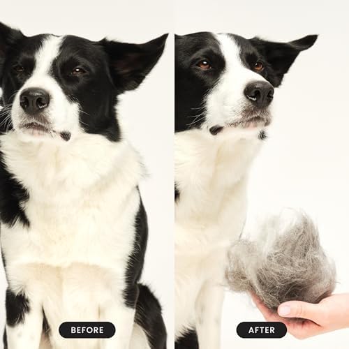 Pet Teezer De-Shedding Dog Brush for Long Hair Breeds, Large, Blue & Pink - Image 5