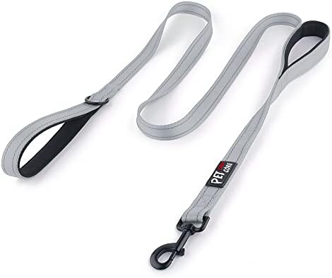 Plutus Pet Double Handle Dog Leash, 4 FT Long, for Medium Large Dogs by PLUTUSPET
