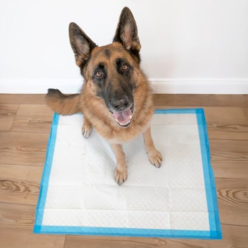 Four Paws Wee-Wee Superior Performance Extra Large Pee Pads for Dogs with Runoff Barrier Edge Guard Protection, Puppy & Dog Potty Training Pads, Housebreaking Supplies, 28" x 34" (21 Count) - Image 5