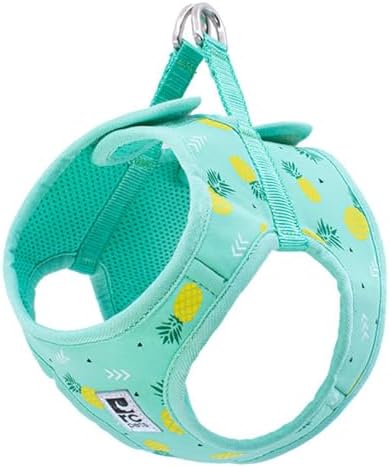 RC Pet Products Cirque Soft Walking Step-in Dog Harness, Pineapple Parade, X-Large by RCPets