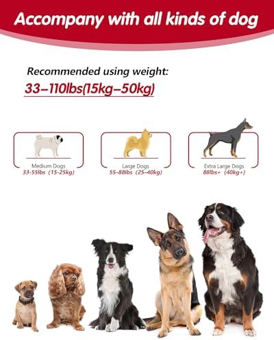 Hands Free Dog Leash, Multifunctional Crossbody Dog Leash - Image 6