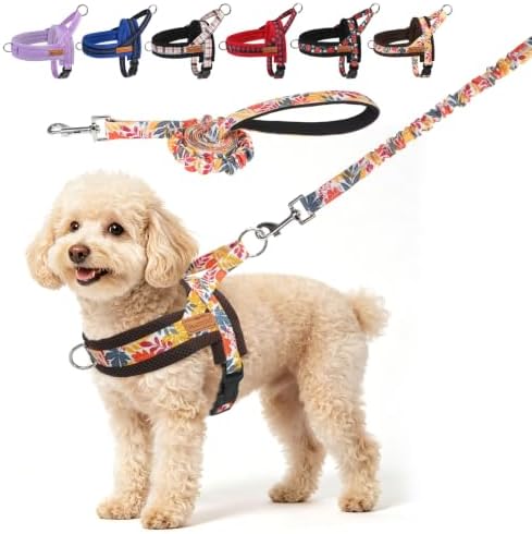 BEAUTYZOO Dog Harness Medium Sized and Leash Set,No Pull Pet Vest, Fall by BEAUTYZOO