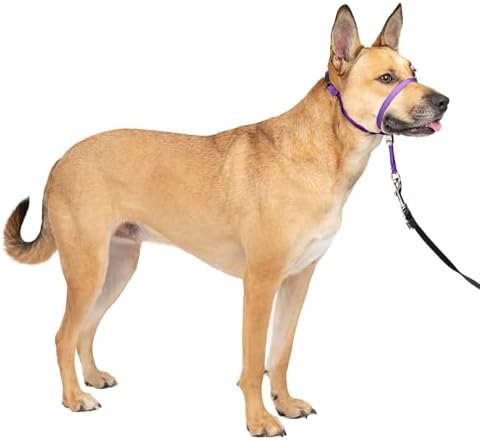 PetSafe Gentle Leader No Pull Dog Headcollar, Deep Purple, Medium by PetSafe
