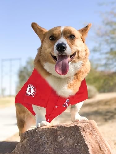 Official MLB Los Angeles Angels Pet Jersey for Dogs & Cats, Size X-Large - Stylish Baseball Jersey for Your Furry Fan- Show Off Team Spirit with The Perfect Fan Apparel Gear for Pet, Dog & Cat - Image 5