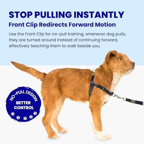 Freedom No Pull Dog Harness for Medium Dogs, Easy Walker, Anti Pulling with Two Stainless D-Rings, Comfortable, Sewn-in Instructions Tags for Easy Use (Black, M) - Image 2