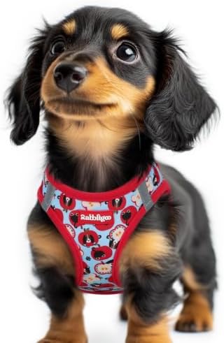 rabbitgoo Step-in Small Dog Harness, Puppy Vest for Small Sized Pet by rabbitgoo