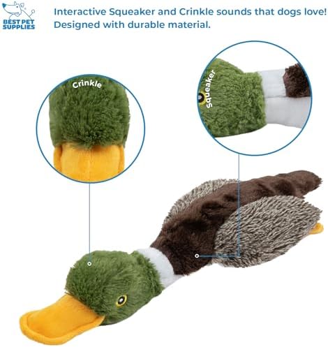 Best Pet Supplies Interactive Squeaky Dog Chew Toy, Ideal Dog Toys for Chewers, Small, Medium & Large Dogs, and Fetch Lovers - Duck (Mystery Box), Large - Image 5