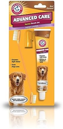 Arm & Hammer Tartar Control Dog Dental Kit, Beef Flavor, 3-Piece by ArmHammer