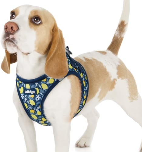 rabbitgoo Step-in Small Dog Harness, Puppy Vest for Small Sized Pet by rabbitgoo
