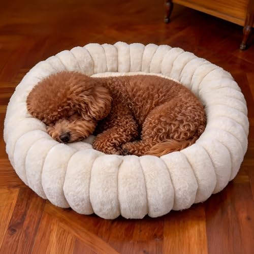 Donut Small Dog Bed Round Calming Kitten & Puppy Bed,20in White by VhenWhen