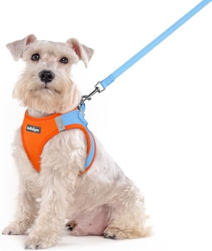 rabbitgoo Dog Harness Medium Sized and Leash Set, Step-in Puppy Pet Vest by rabbitgoo